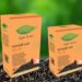 BLACK TEA – FBOP